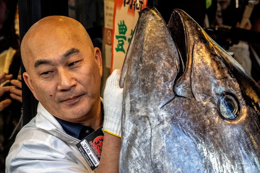 'Tuna King' pays record $3.2m for bluefin at Tokyo auction