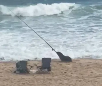 Glassy seas deliver rewarding weekend fishing along the coast