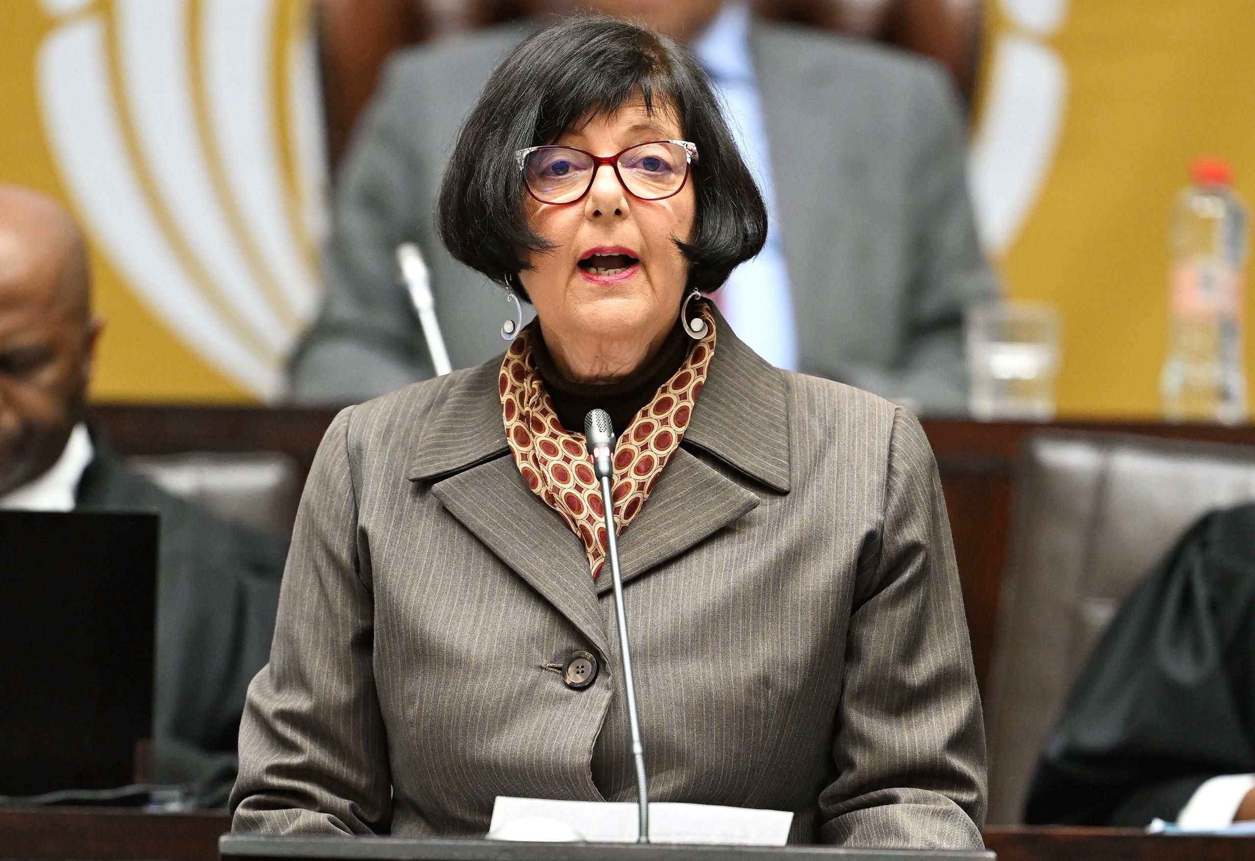 How Barbara Creecy's R66 billion plan aims to transform South Africa's transport sector