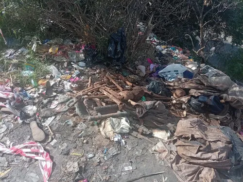 Human bones and skulls found dumped in Isipingo near Durban
