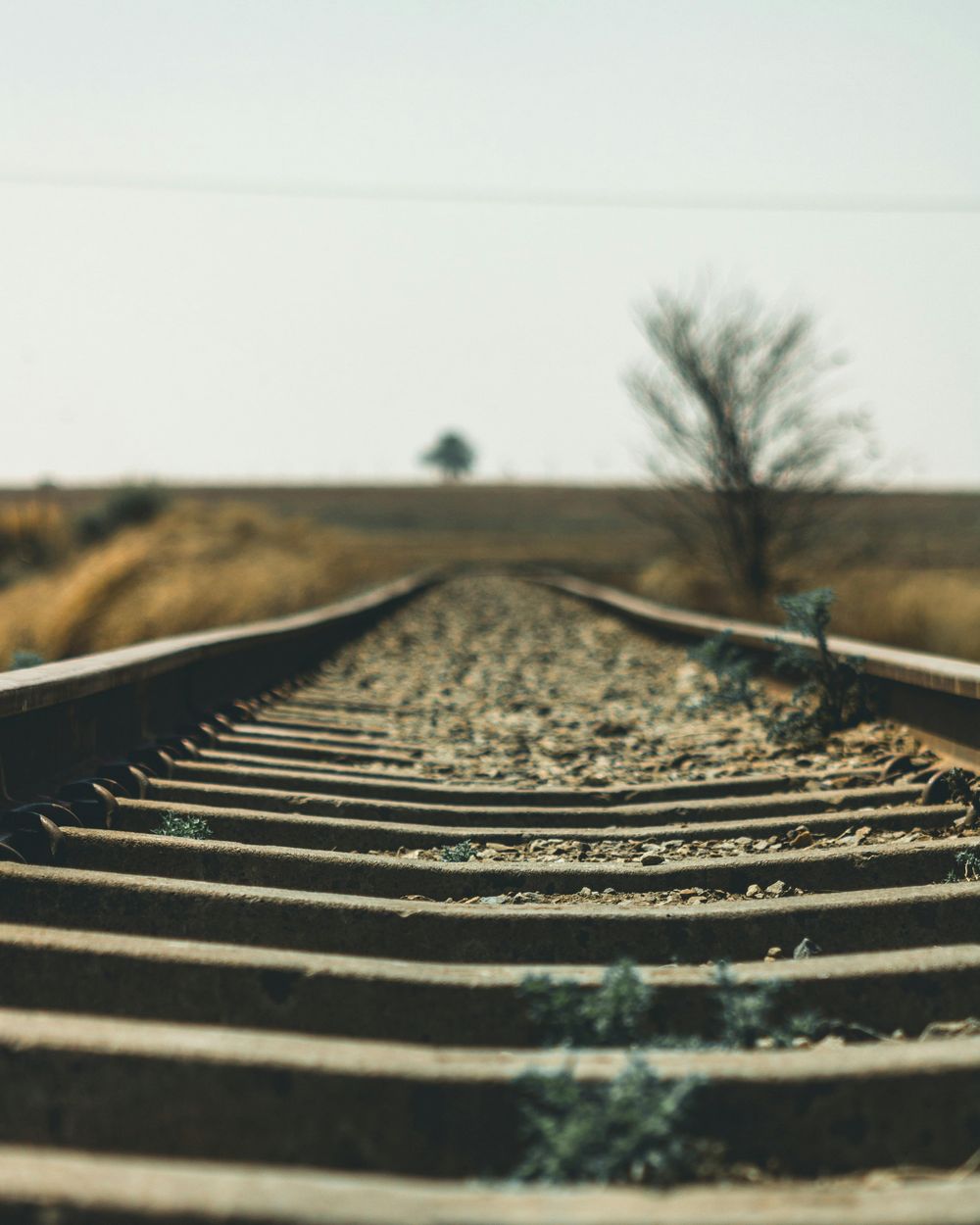 Lobito Corridor further weakens South Africa’s logistics value