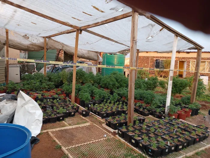The inside of a hydroponic dagga laboratory uncovered by Gauteng police in De Deur.
