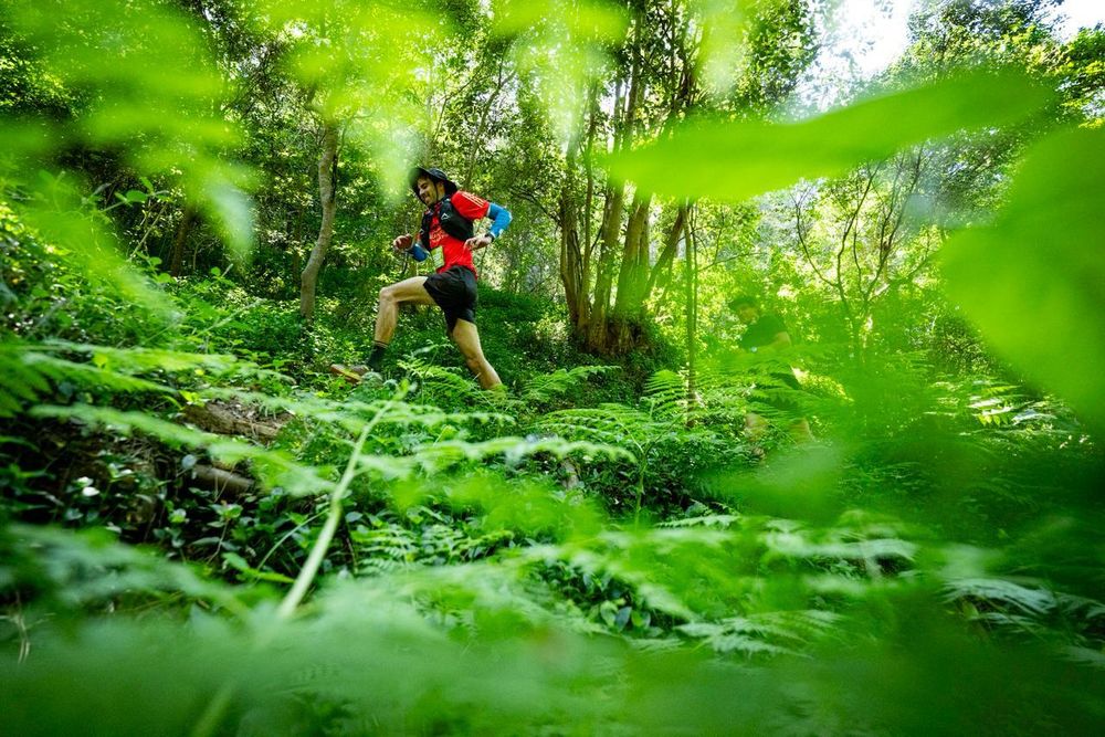 Cape Town set for 2026 RMB Ultra-trail