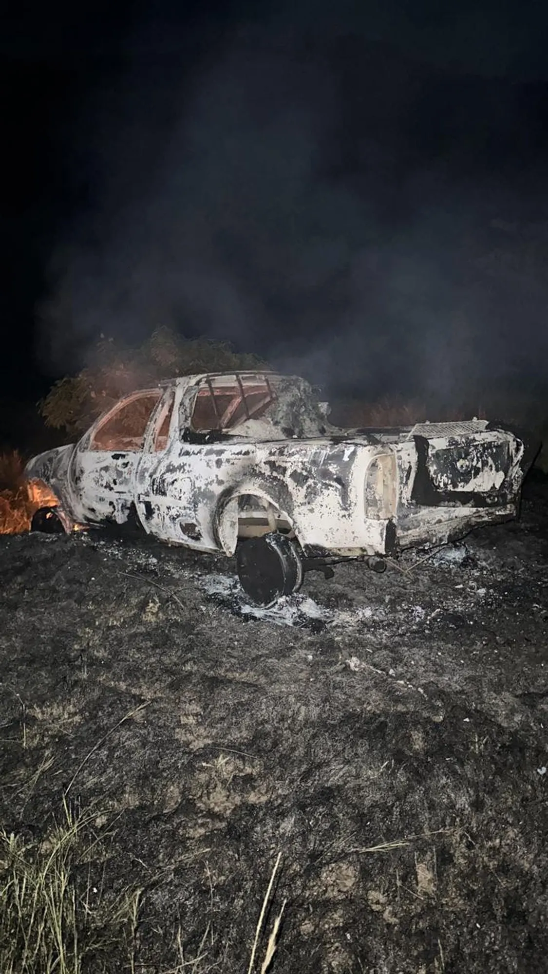 Public outrage over torching of three dogs and SPCA vehicle - Vimarsana News