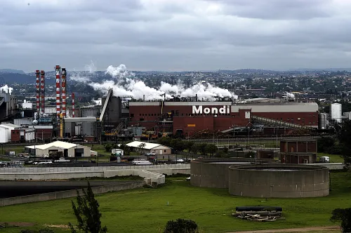 Mondi's interim dividend drops significantly amid rising costs and lower prices