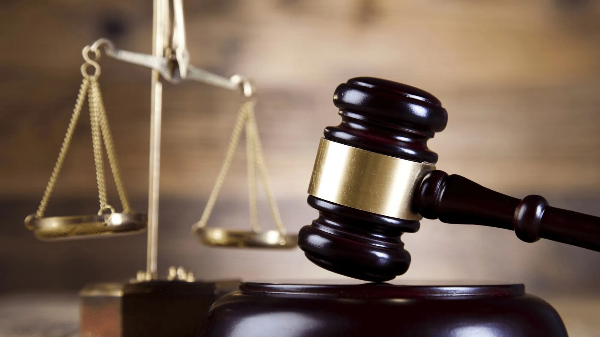 Welfare organisations get a lifeline via High Court ruling - Vimarsana News