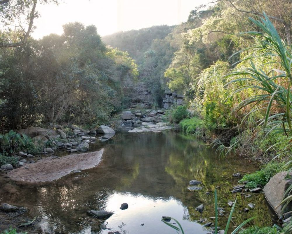 eThekwini calls for river management partnerships with non-profit companies