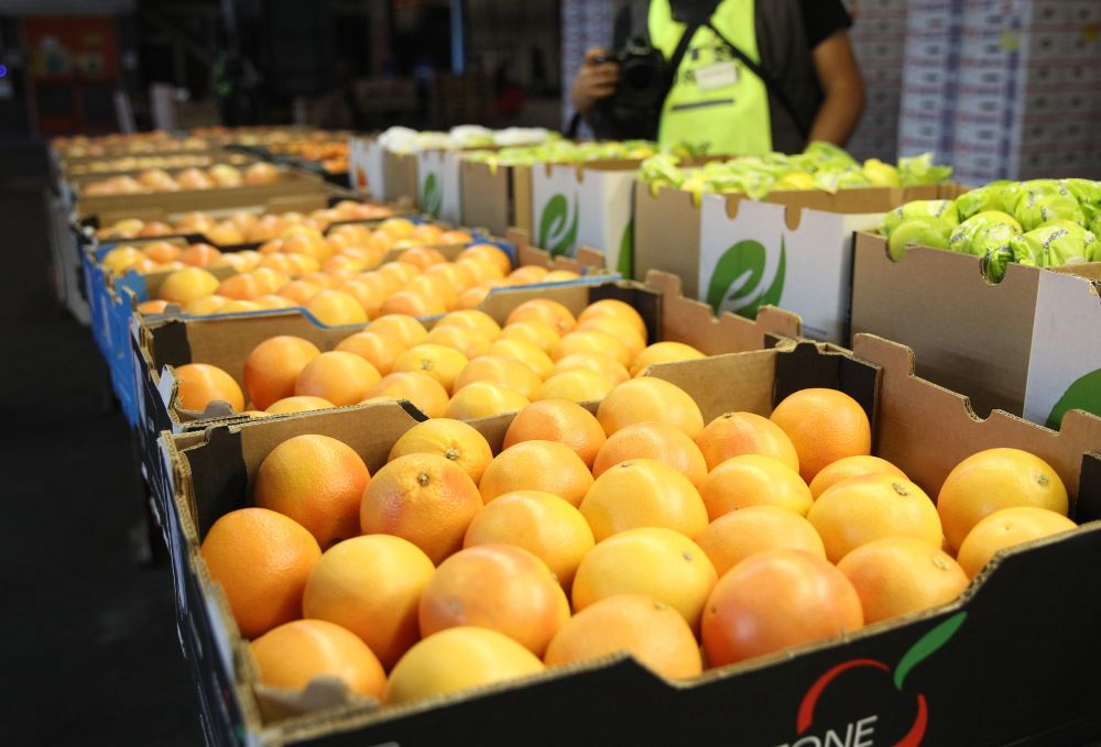 Citrus industry welcomes US tariff exemption on South African orange exports