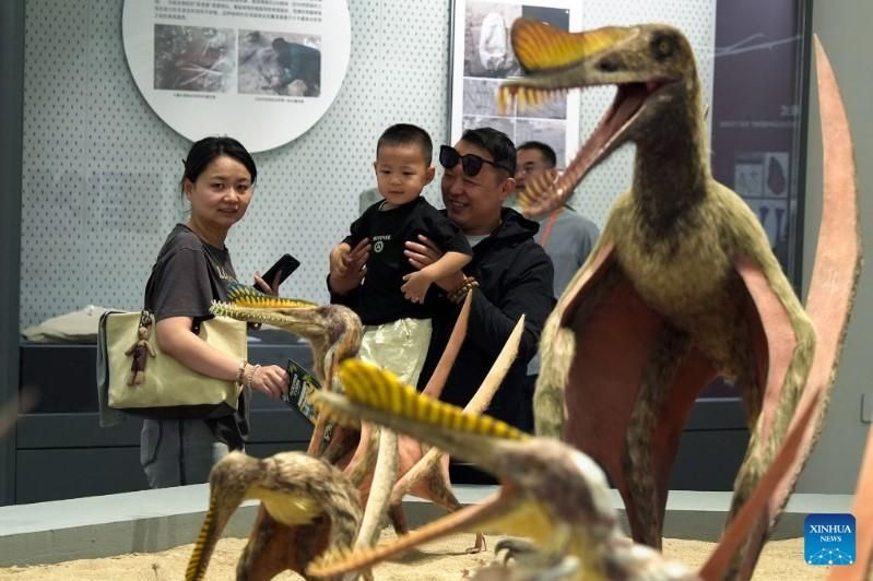 World's first museum devoted to prehistoric flying reptiles opens - IOL