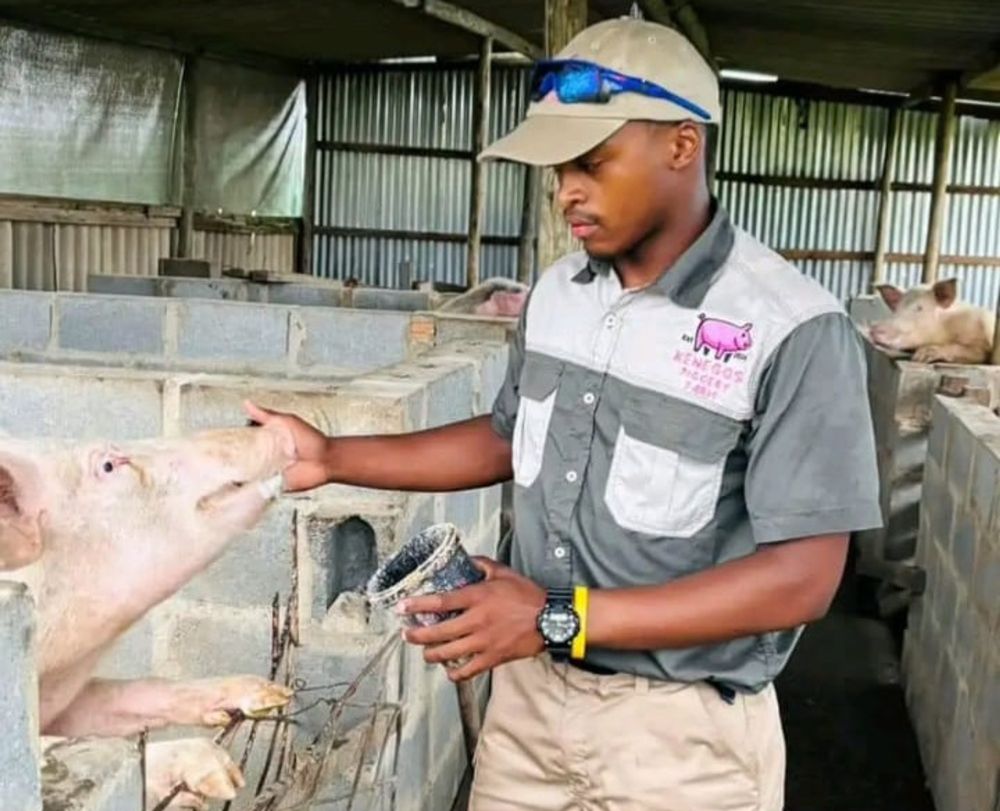 Umfundi kaGrade 12 ngumfama weehagu