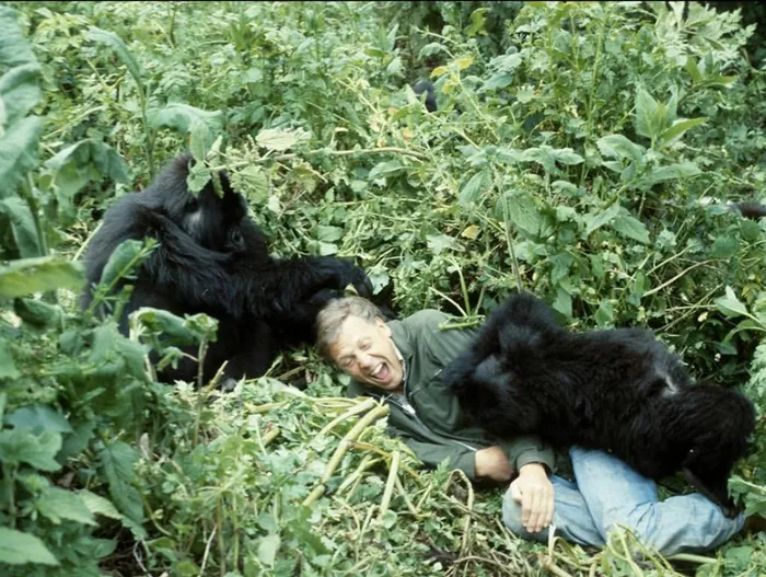 Sir David Attenborough turns 100: a legacy of wonder and respect for nature.