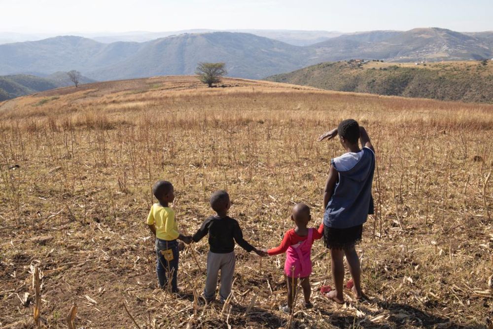 Youth must be architects of South Africa’s green future