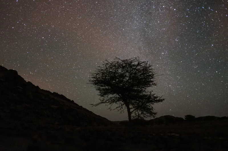 On the hunt for meteorites in the far reaches of the Sahara