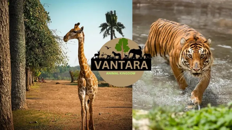 Indian Philanthropist Anant Ambani Honoured with Global Humanitarian Award for Wildlife Conservation