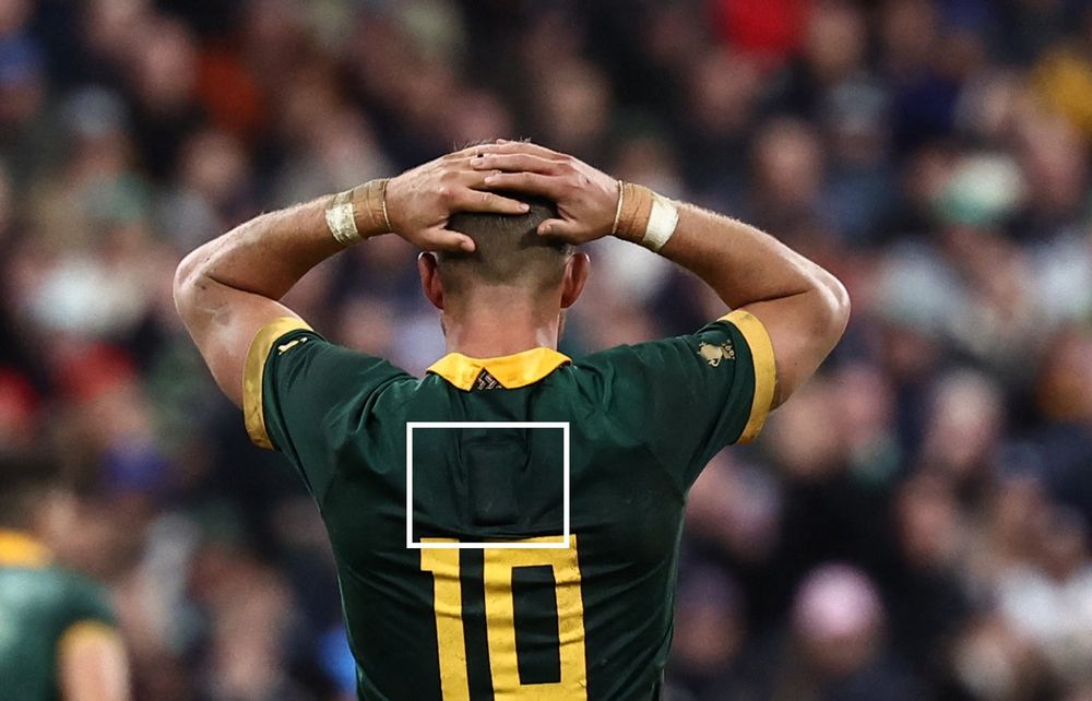 How Springboks used tech as an important informative tool to win