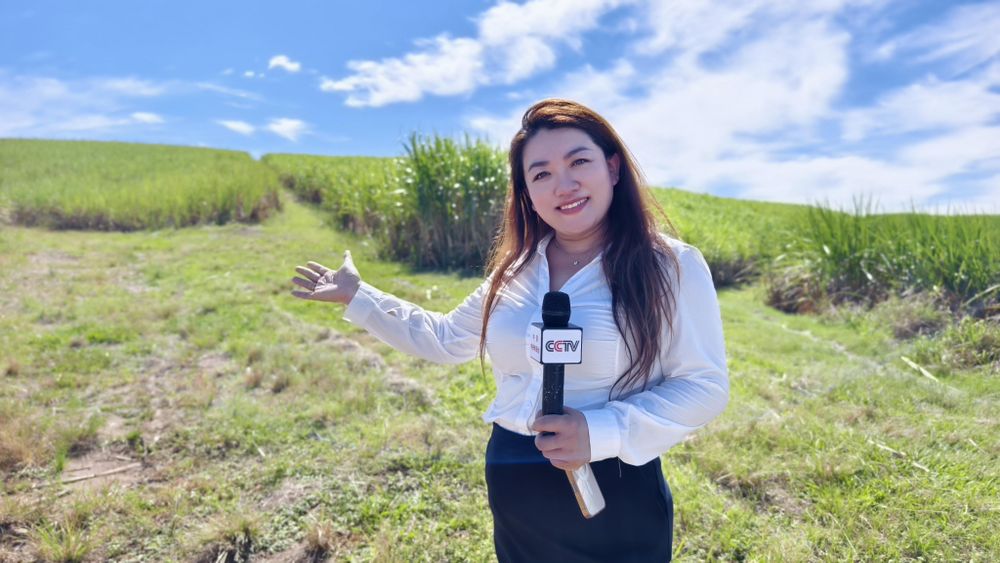 Zero Tariffs, New Horizons: Opportunities for China-South Africa Cooperation from Johannesburg