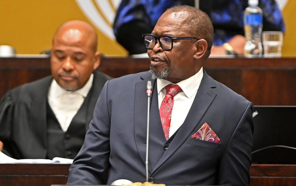 Fuel levy cuts announced as Godongwana allocates billions to fight GBV