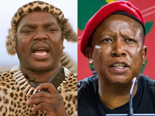Ngizwe Mchunu issues apology to Court and Malema after being found guilty of contempt