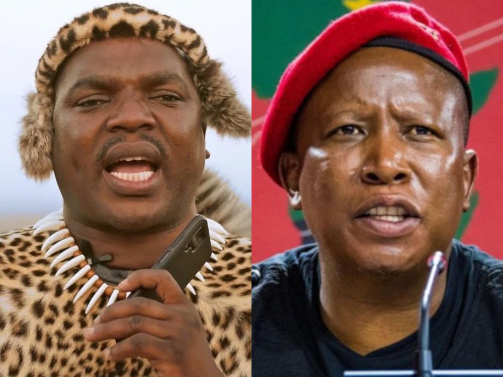 High Court interdicts Ngizwe Mchunu over ‘defamatory’ statements on Julius Malema