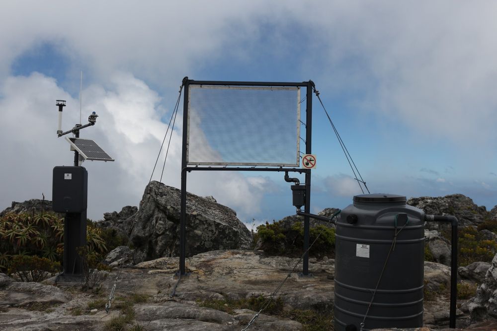 City of Cape Town reevaluating fog harvesting plan for Table Mountain