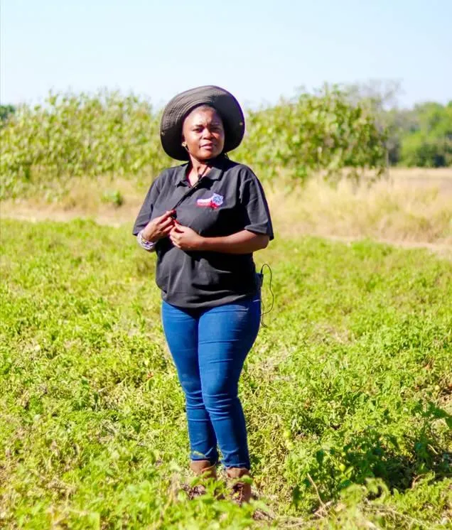  Vhengani Ndou, owner of Onay Farming, employs five permanent employees and around 30 seasonal workers. Her farm supplies tomatoes to Tiger Brands and provides practical workplace experience for agriculture students from the University of Venda.
