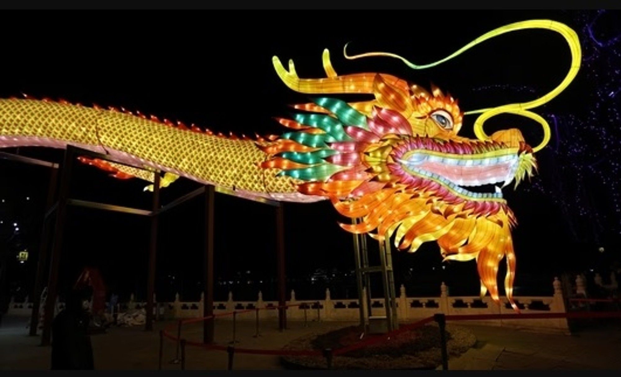China is a force for peace, stability and progress of the world