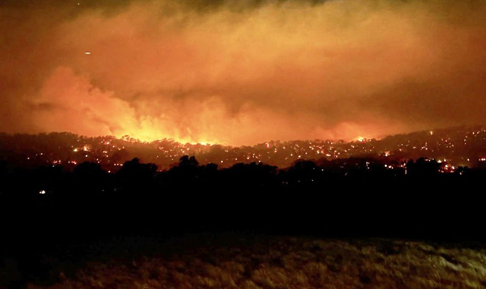 Devastating bushfires in Australia: Scores of homes razed, one dead