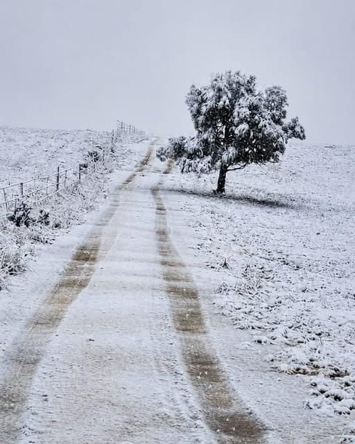 Se-Anne Rall | Published 48 seconds ago PICS | Snow blankets parts of South Africa and Lesotho