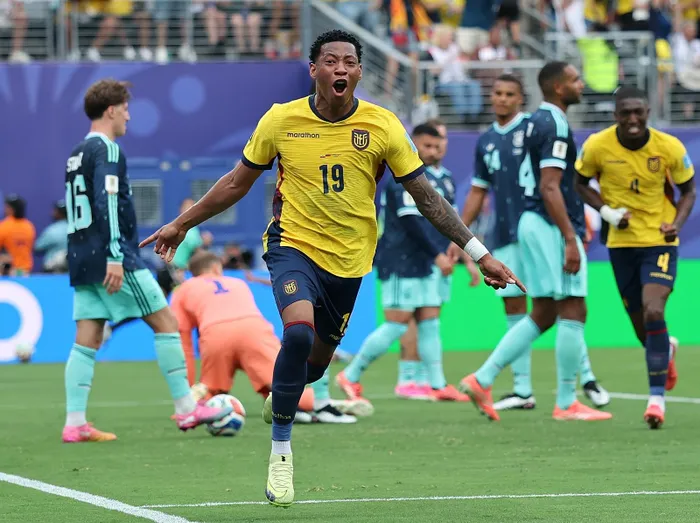 Plata of Ecuador celebrates scoring during their Fifa World Cup Group E match against Germany.