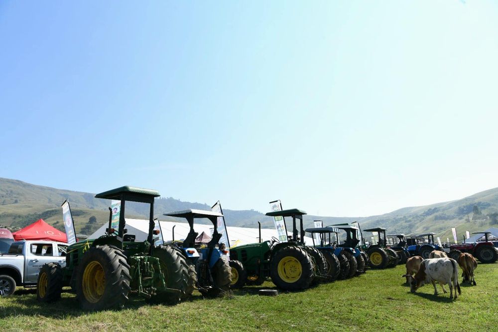 Food and Agriculture Organization chief economist warns of deepening global food risks amid Mideast tensions