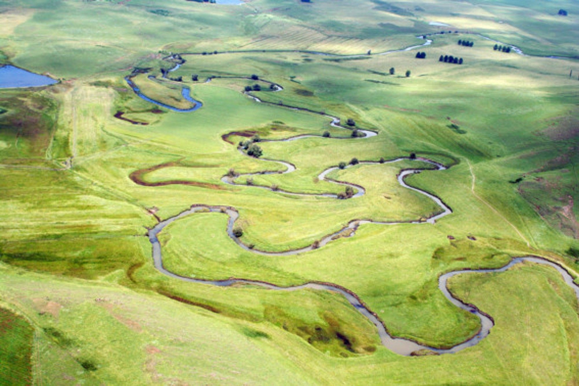 Setting the bar for conservation