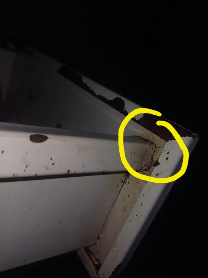 Cockroaches in the cabinets. 