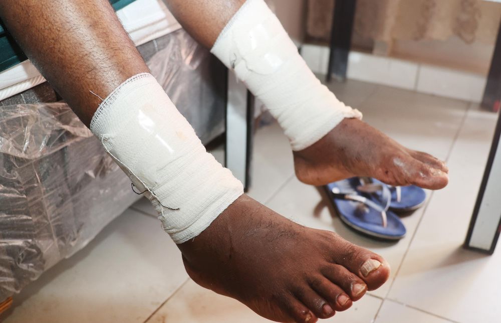 Phoenix pit bull attacks: school secretary, grandfather and tuckshop owner mauled