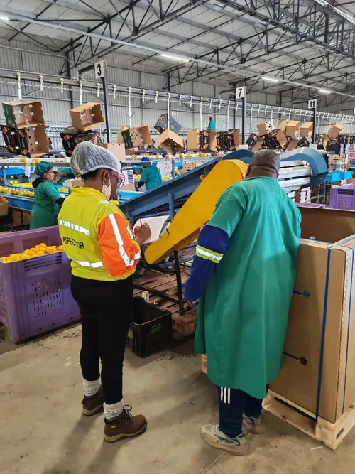 'More blitzes coming': Labour dept finds 3 compliant workplaces, arrests 137