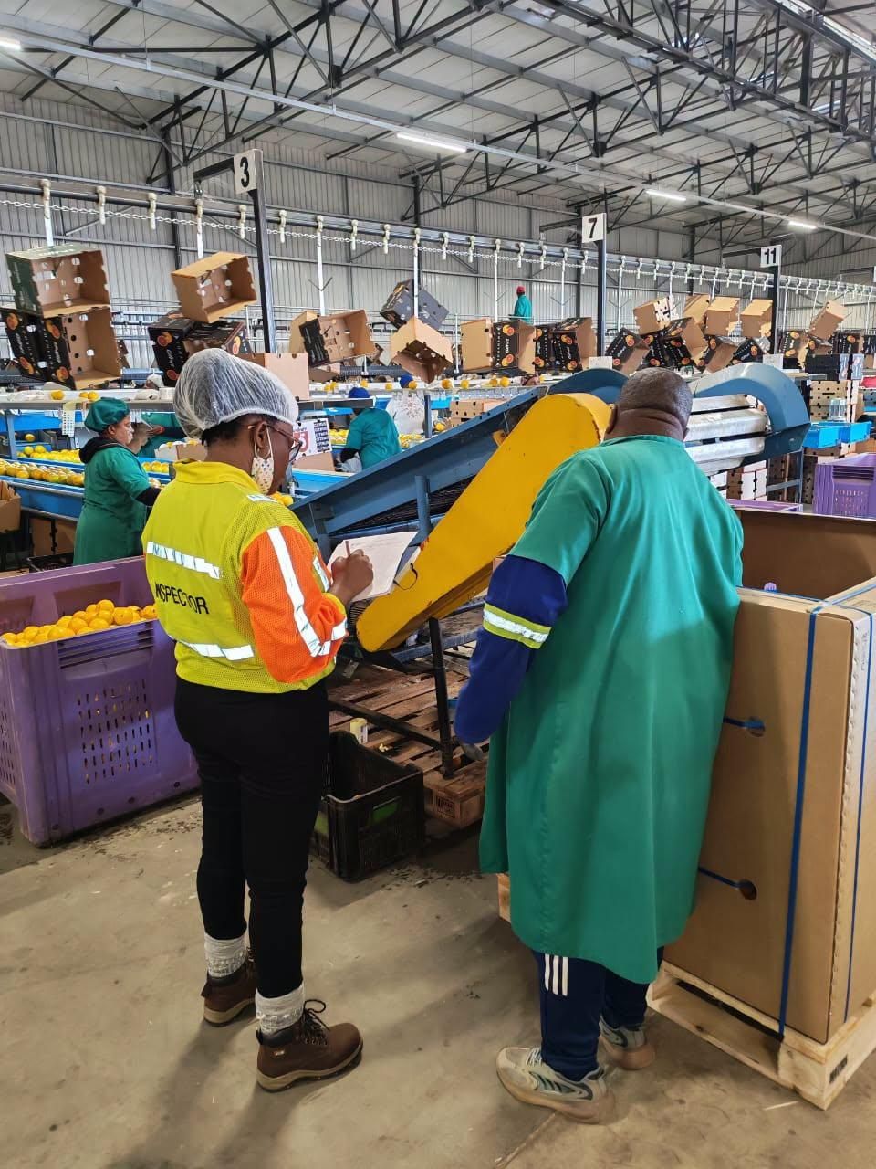'More blitzes coming': Labour dept finds only 3 compliant workplaces, arrests 137