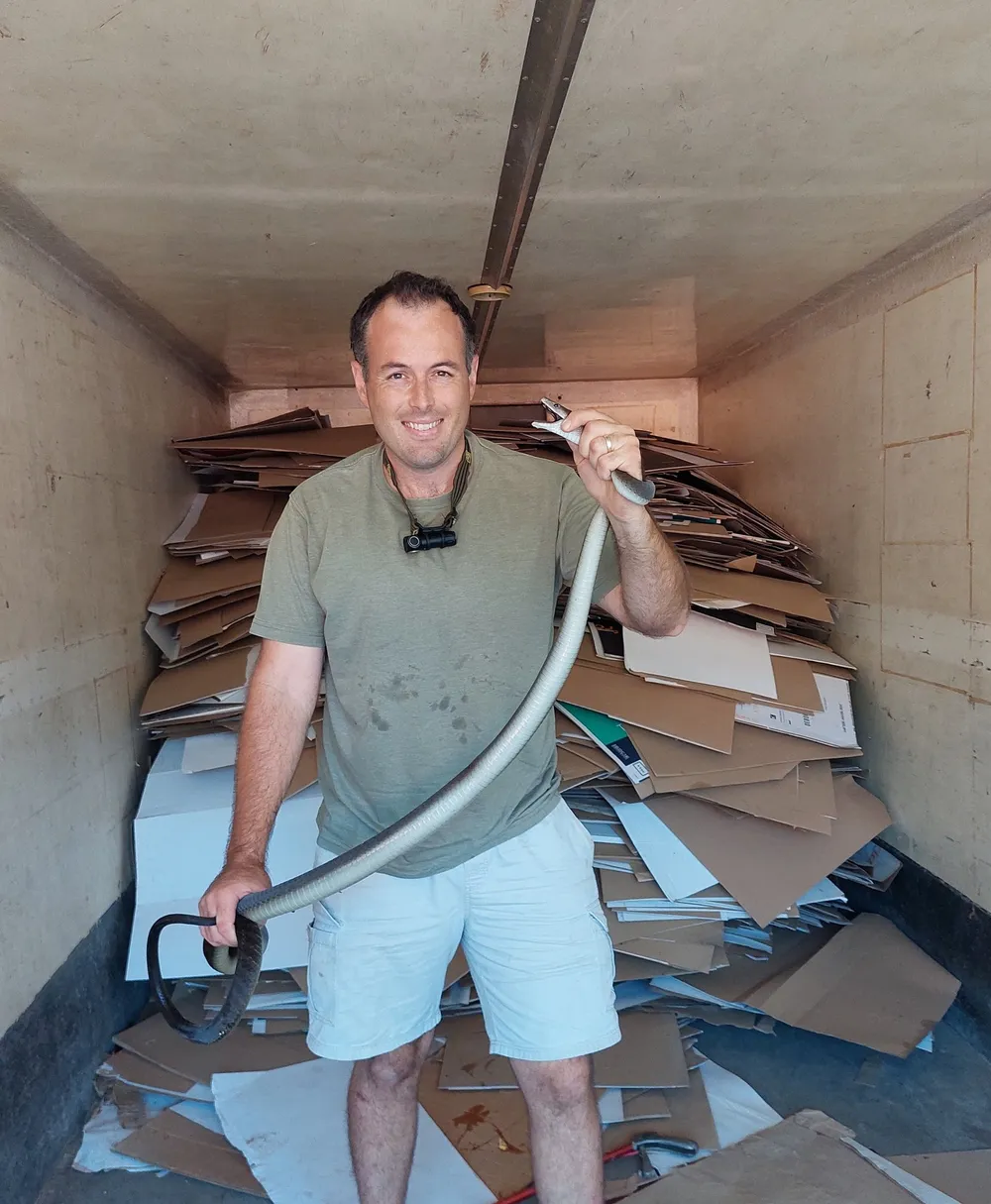 Snake catcher Nick Evans rescued a well-fed black mamba inside a shipping container full of cardboard boxes at a business premises in Mariannhill. Picture: Nick Evans