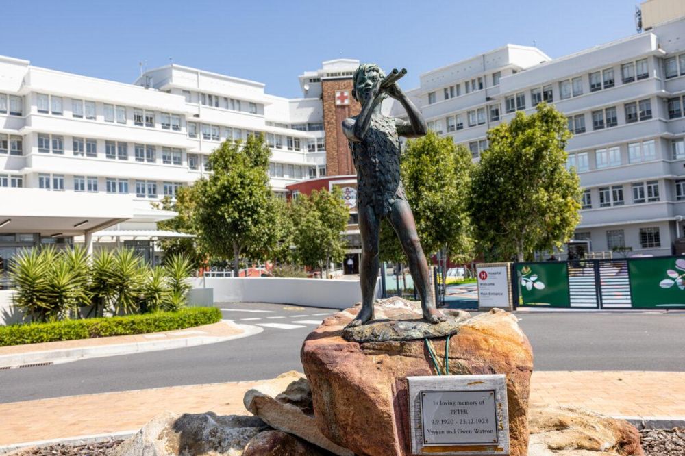 The Peter Pan Statue: A Legacy of Love at the Red Cross War Memorial ...