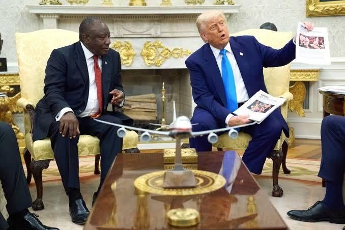 Indien und Südafrika müssen sich Trumps Einschüchterungsversuchen ...
