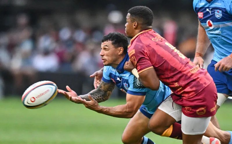 Bulls pack pace into lineup for high-octane showdown with Lions at Ellis Park