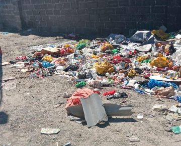 Newborn baby found on Delft trash heap