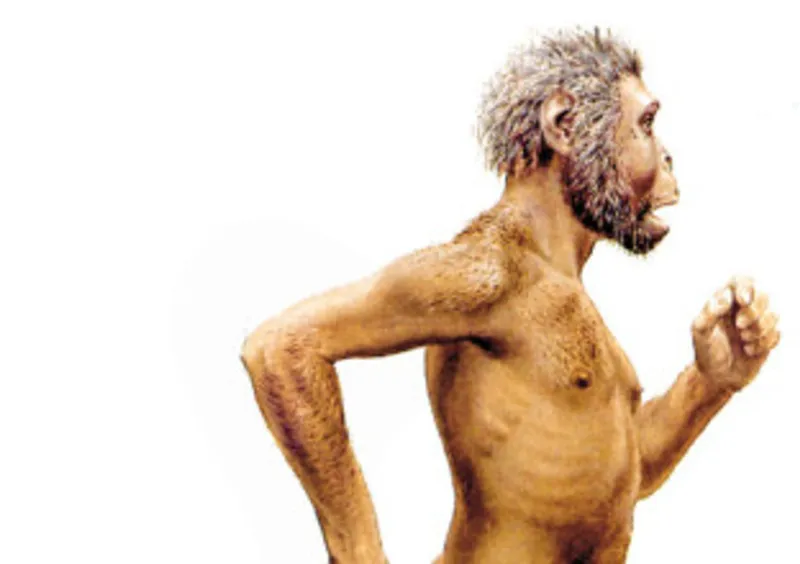 Unveiling the secrets of Southern Africa's ancient hunter-gatherers