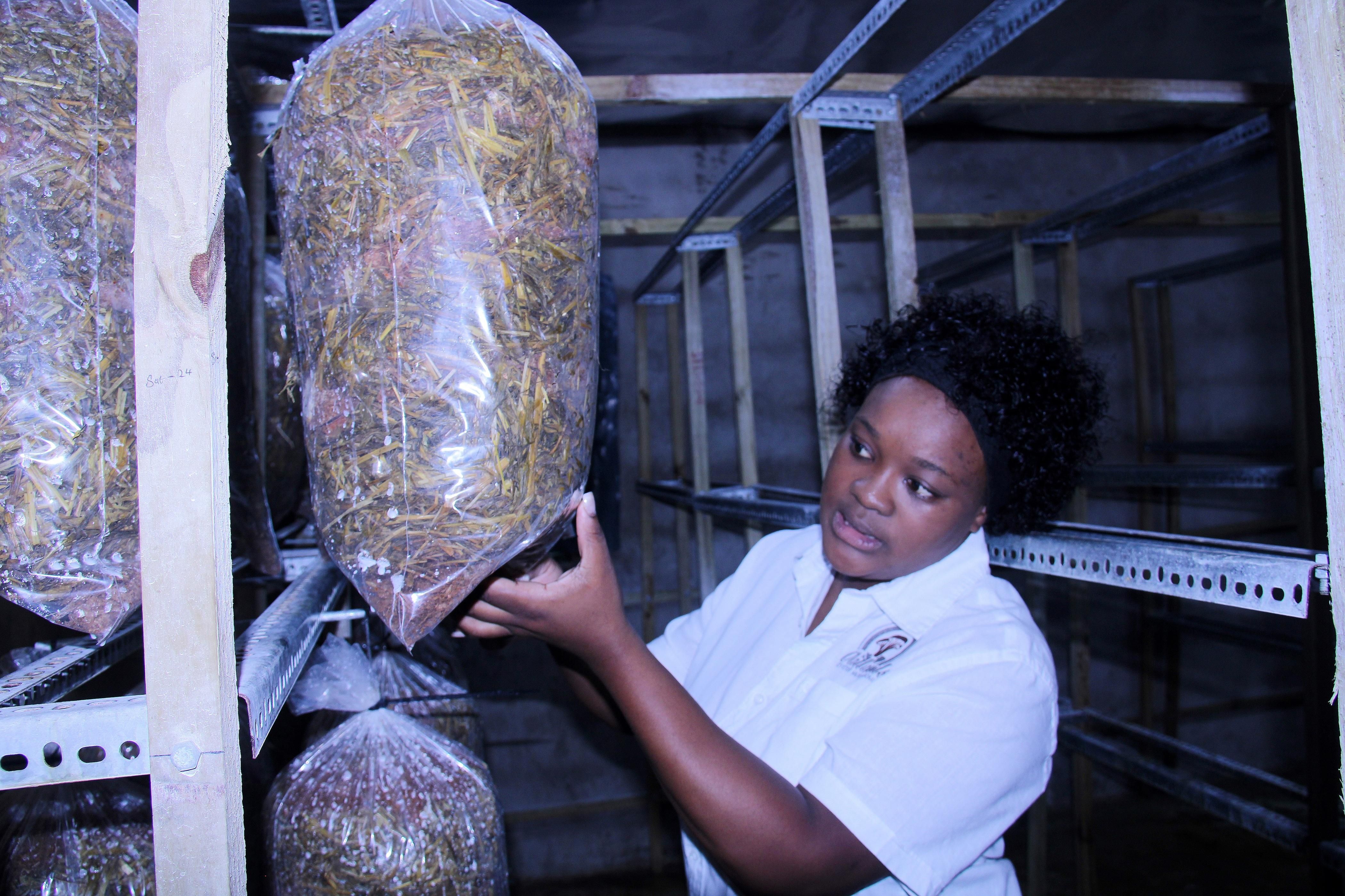 KZN female entrepreneur revolutionises South Coast agriculture with ...