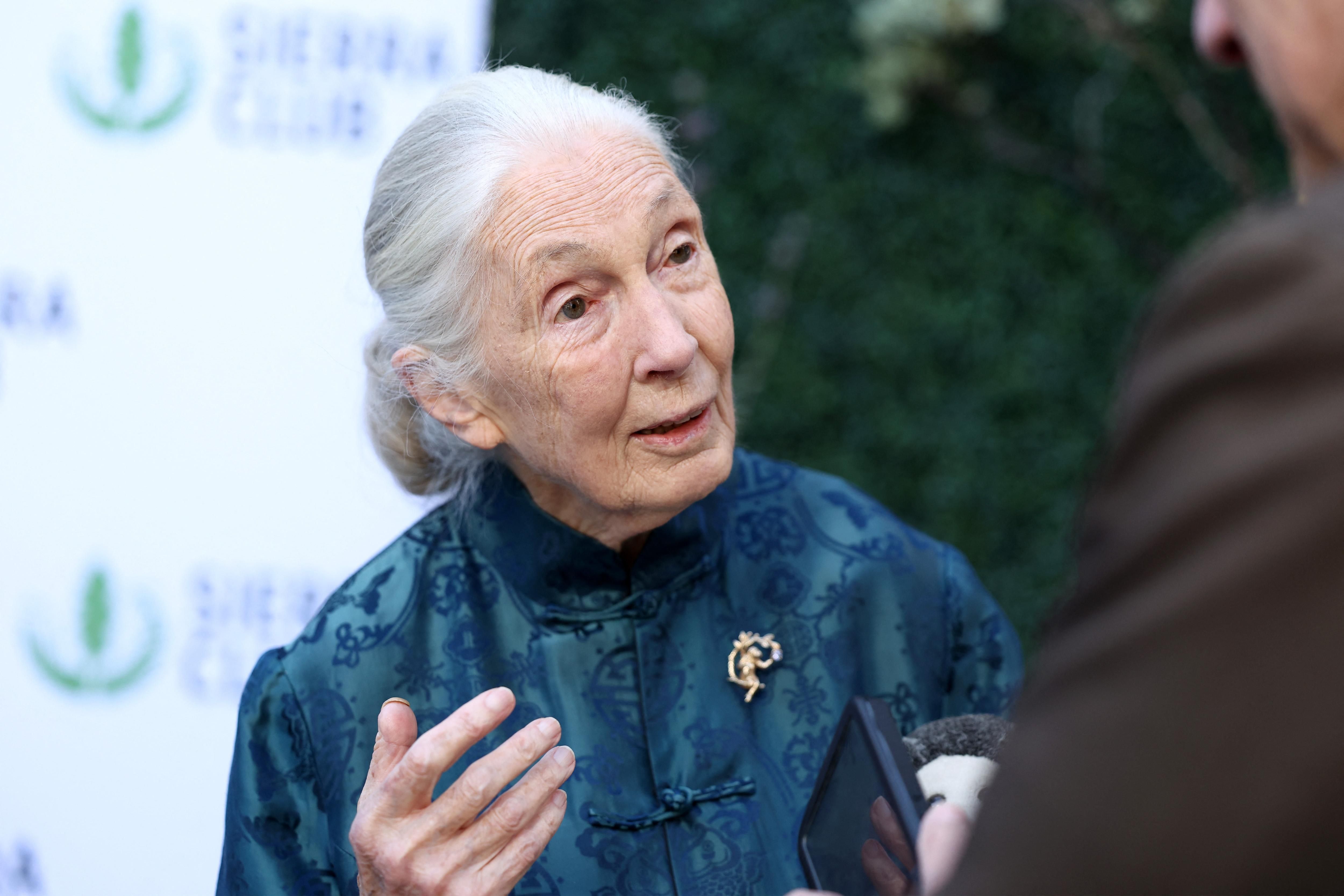 Jane Goodall, the gentle disrupter whose research redefined what it meant to be human