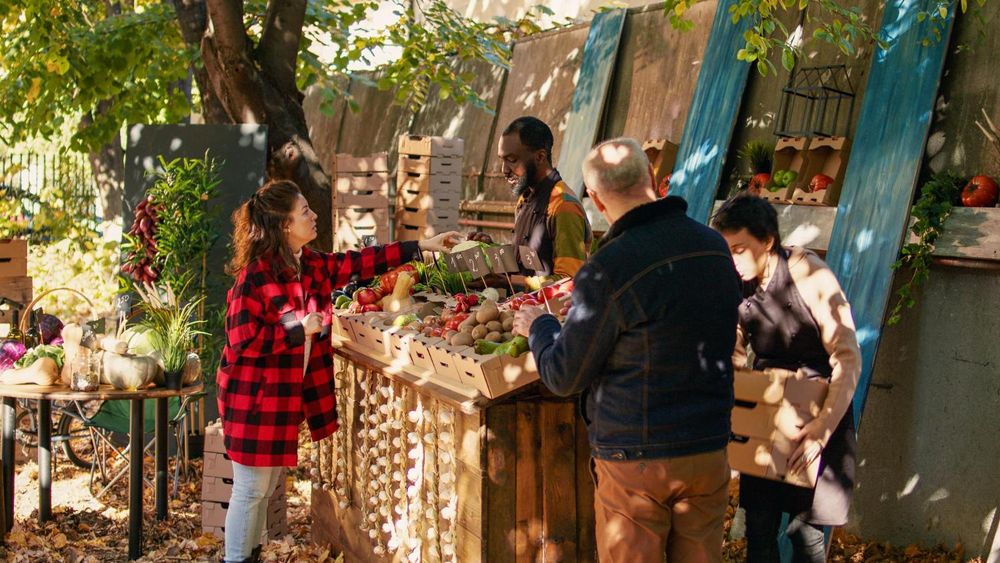Five Cape Town markets to visit when you’re ready for something different