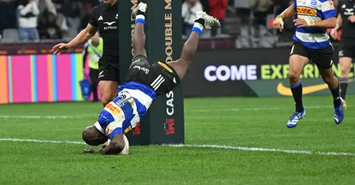 Stormers’ insights from All Blacks clash may boost Springboks in Rugby’s Greatest Rivalry