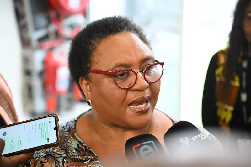 Thoko Didiza: Parliament is upholding its duties despite impeachment concerns
