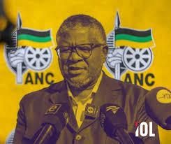 The ANC will not self correct its way out of collapse
