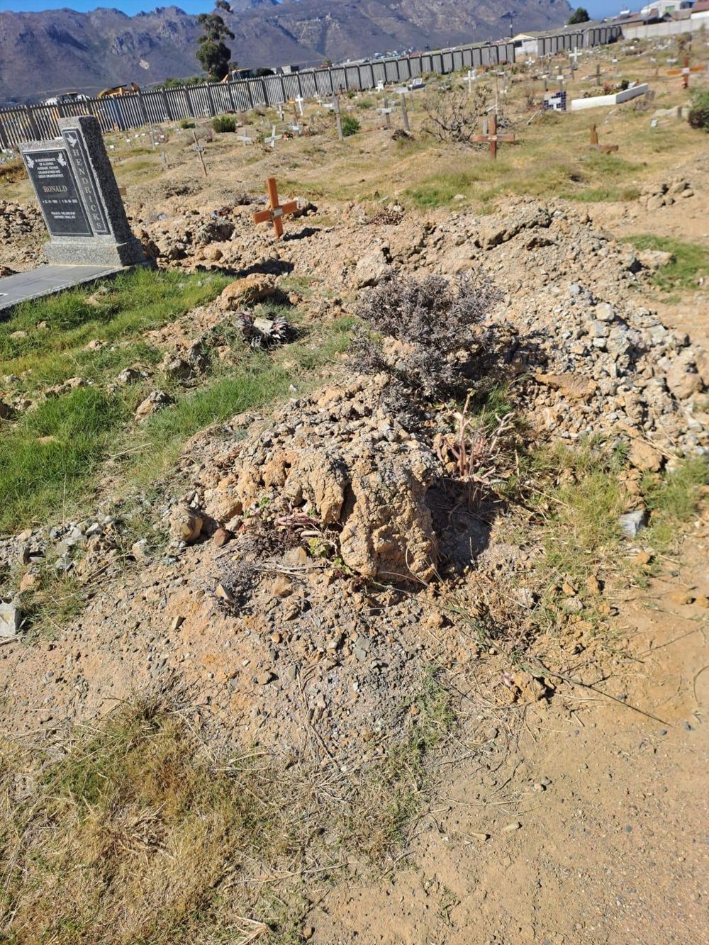 Rusthof Cemetery: A plea for respect and restoration from grieving families