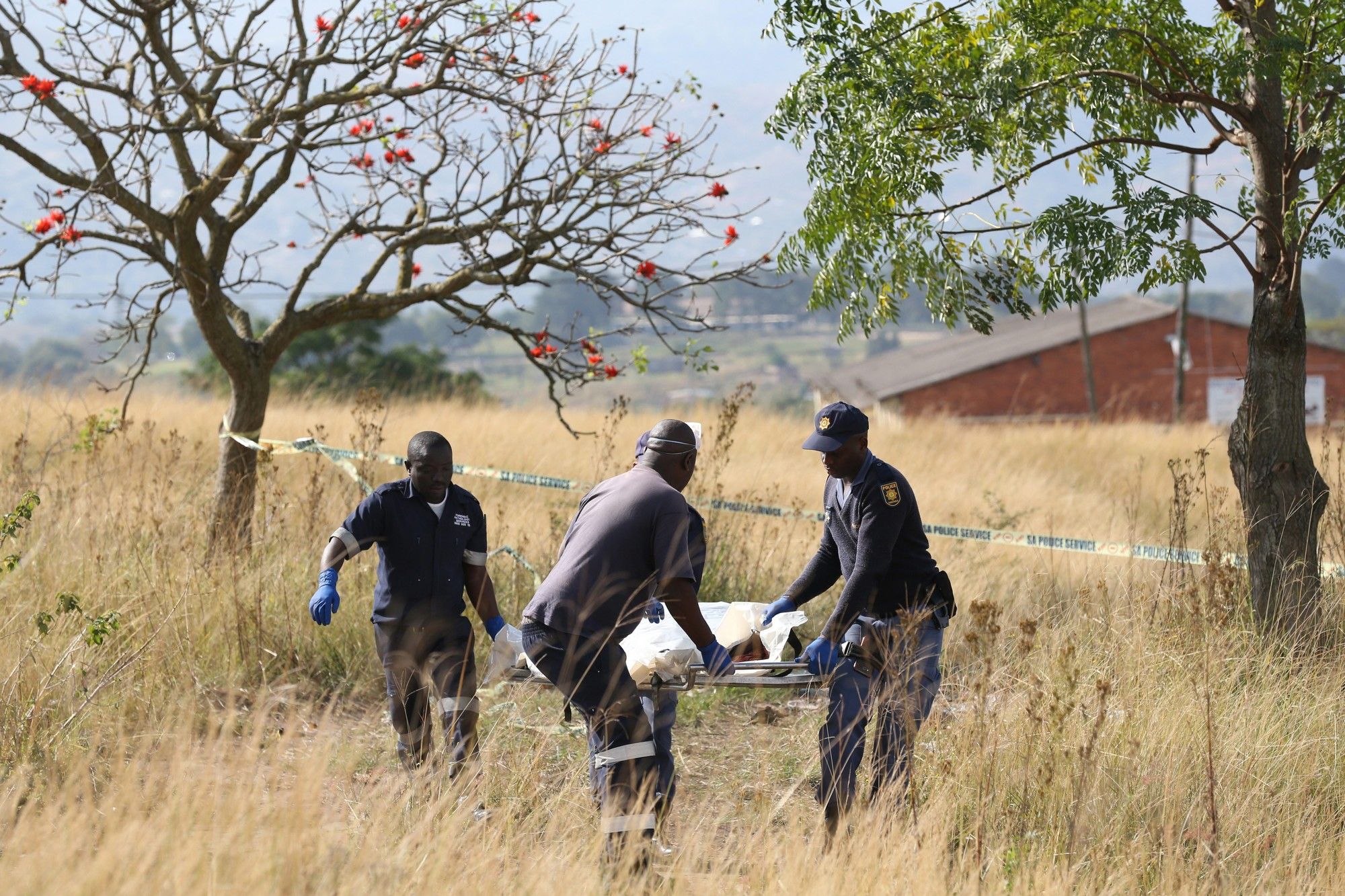 Limpopo man, arrested for brutal murder of his brother-in-law, remanded ...