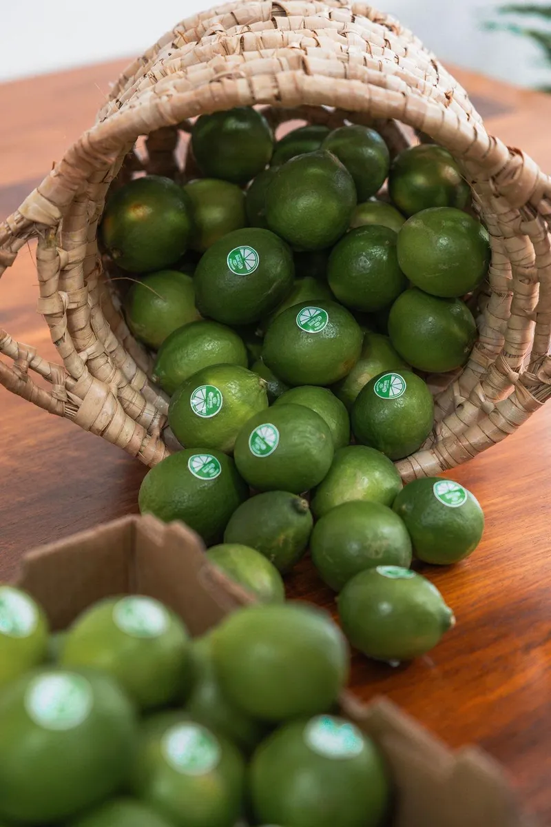 How a lime shortage sparked an agricultural breakthrough in Limpopo
